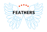 Feathers Sticker by TeamSpan