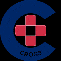 croatianstudentsummit student cross students medicine GIF