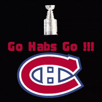 Hockey Go GIF