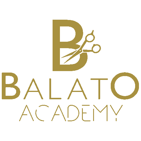 Balato Academy Sticker by BALATO