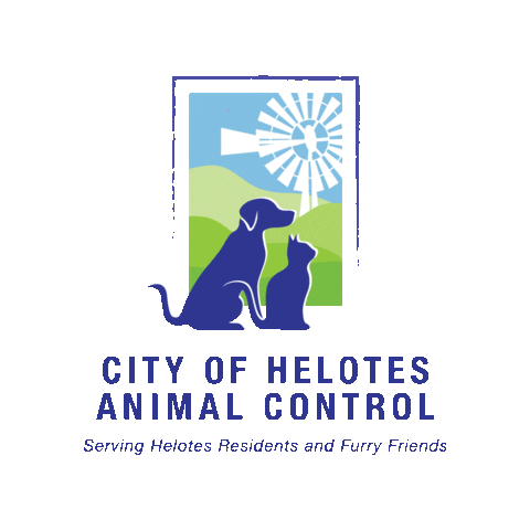 Animal Control Cat Sticker by City of Helotes