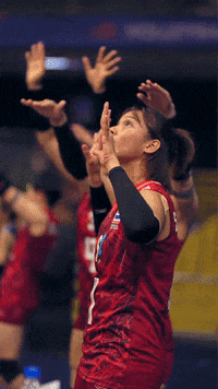 Sport What GIF by Volleyball World