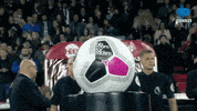 Happy Football GIF by MolaTV