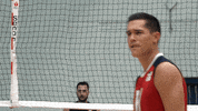 usavolleyball happy smile smirk adidas GIF