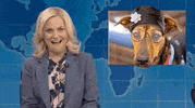 Parks And Rec Snl GIF by Saturday Night Live