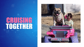Cruising Together