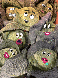 Team Cabbage GIF