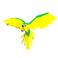 excited carnaval de rio Sticker by Jean Paul Gaultier