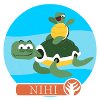 Indonesia Sticker by NIHI sumba