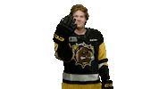 BrantfordBulldogs bulldogs ohl marek brantford Sticker