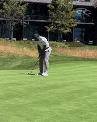 Toronto Raptors Basketball GIF by Respective