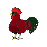 Rooster Hahn Sticker