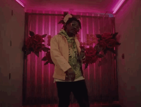 Wild Irish Roses GIF by Interscope Records