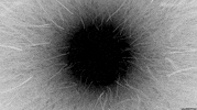 Infinite Loop Art GIF by CmdrKitten