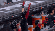 Major League Baseball Sport GIF by MLB
