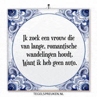 Auto Nl GIF by Tegelspreuken.nl