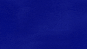 Warning Here Comes Trouble GIF by Jeopardy!
