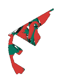 Racing F1 Sticker