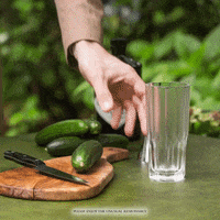Drinks Ice GIF by HENDRICK'S GIN