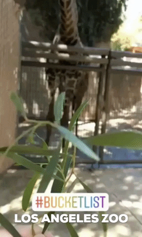 los angeles eating GIF by Los Angeles Zoo and Botanical Gardens