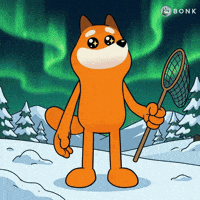 Snowy Mountain Crypto GIF by BONK