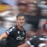 Happy Premier League GIF by Crystal Palace Football Club