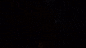 rccoworldex esports race simracing rftc GIF