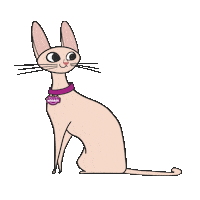 Cat Racao Sticker by Whiskas Brasil