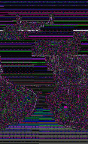 GIF by Leo Pyrata