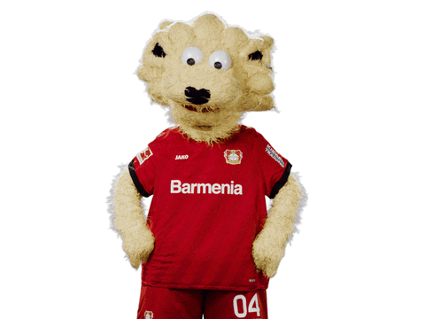 No Idea Brian GIF by Bayer 04 Leverkusen