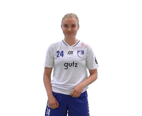 Floorball Salibandy Sticker by F-liiga