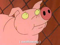 heyarnold nicksplat hey arnold GIF