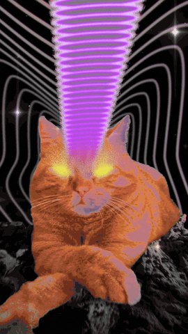 the_real_theory giphyupload cat trippy third eye GIF