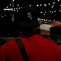 Whatever You Say Mr Steal Yo Girl GIF