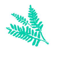 Mono Misiones Sticker