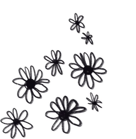 Daisy Flower Illustration Sticker