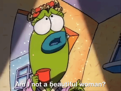 rockos modern life nicksplat GIF
