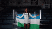 Georgia Tech Volleyball GIF by Georgia Tech Yellow Jackets