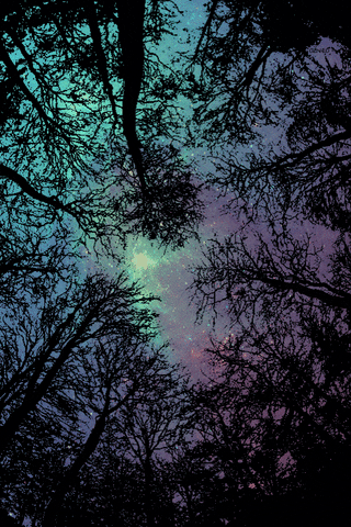 night sky stars GIF