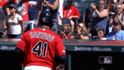 regular season baseball GIF by MLB