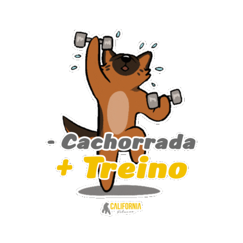 GrupoCaliforniaFitness giphyupload academia treino chega Sticker