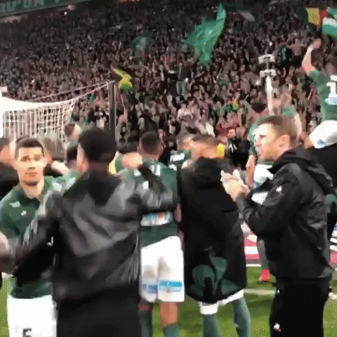 ASSEofficiel mood joie asse teamasse GIF