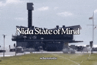 Lithuania GIF by wheninida®