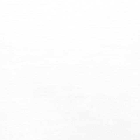 Boost Mobile Team GIF by RedPocket