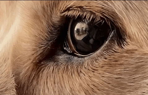 leeperkins giphygifmaker GIF