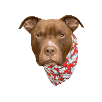 Pitbull Pit Sticker by Geekster Pets