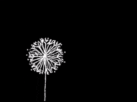 Float Away GIF by Barbara Pozzi