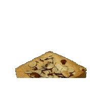 SquaresBakeShop almond squares squaresbakeshop almondsquare Sticker