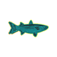 Bait Fish Florida Sticker by Put Me Outside