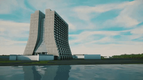 particle physics GIF by Fermilab